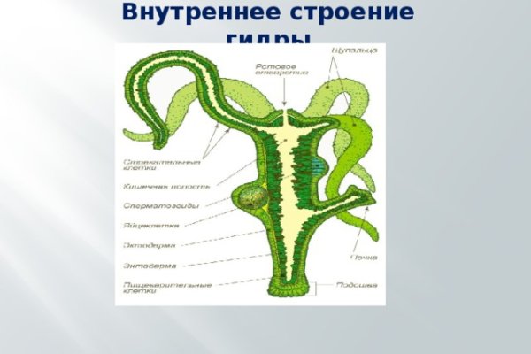 Кракен 12at сайт